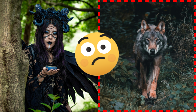 Unveil Your Inner Mystical Being: Witch, Werewolf, Elf, or Succubus?
