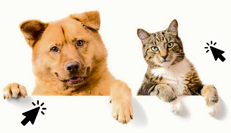 Which Pet is Right for You?